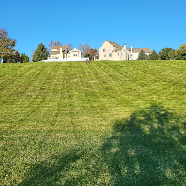 grass-hill-cut